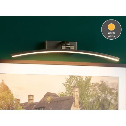 Paulmann 95561 - LED/10W Lampada per quadri BENTO 230V 50 cm ottone