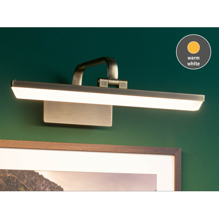 Paulmann 95569 - LED/9,5W Lampada per quadri RENAN 230V 40 cm ottone