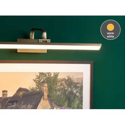 Paulmann 95570 - Lampada per quadri LED 11W RENAN 230 V 60 cm, ottone