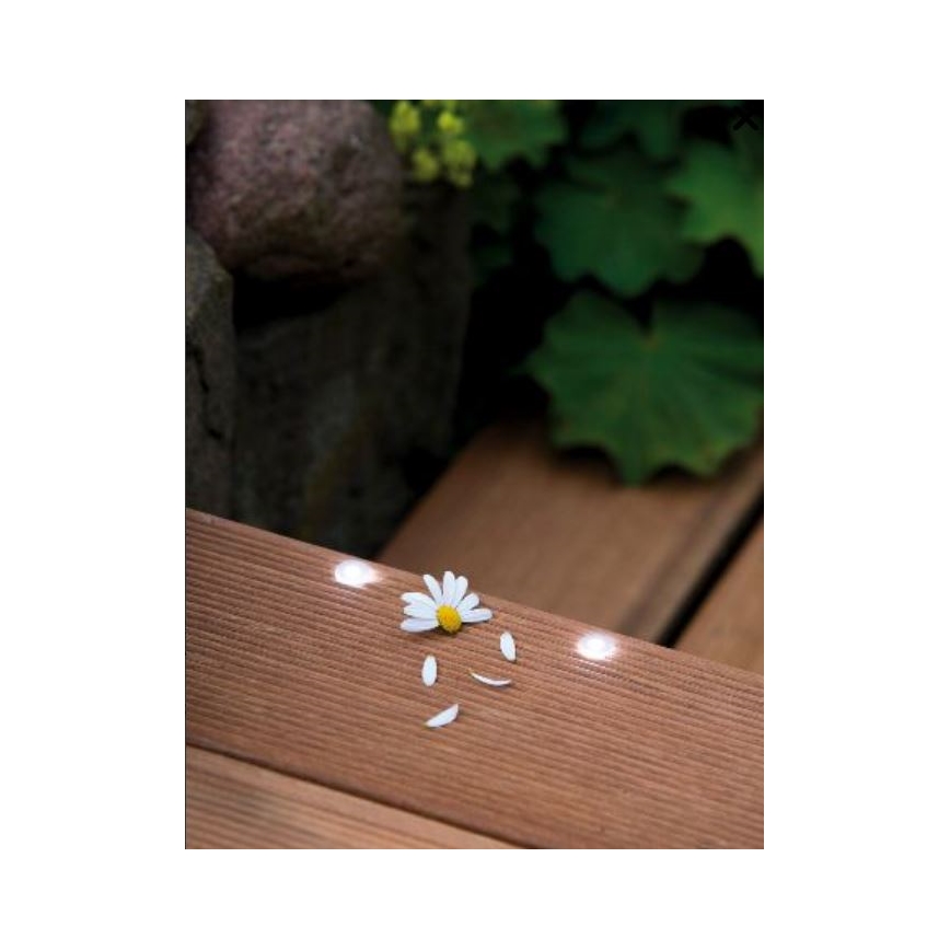 Paulmann 98891 - SET 5X LED/0,16W IP67 Luce da incasso da esterno MICRO 230V