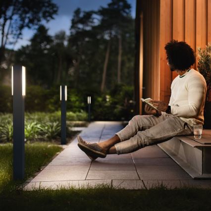 Philips - Colonna da esterno 2xLED/4,5W IP44