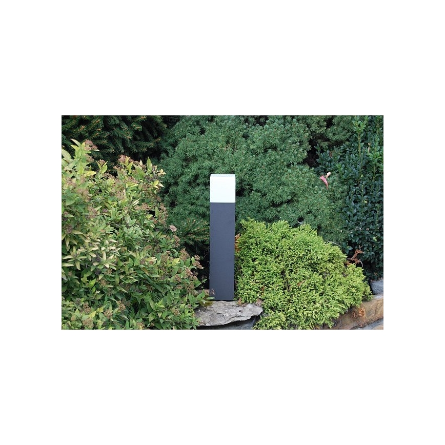 Philips 16935/93/16 - Lampada da esterno ECOMOODS BRANCHE 1xE27/20W/230V