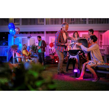 Philips 17415/30/P7 - KIT aggiuntivo HUE LILY LED-RGB/8W/230V IP65
