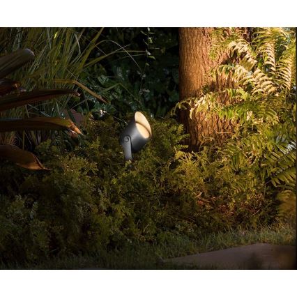Philips - Lampada da esterno dimmerabile LED RGB Hue LILY LED/15W/230V IP65
