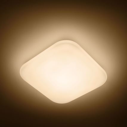 Philips - Plafoniera LED 1xLED/17W/230V 2700K