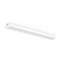 Philips 31247/31/P0 - Lampada LED tecnica fluorescente AQUALINE LED/50W/230V IP65