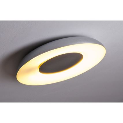 Philips 32613/48/16 - Plafoniera MYLIVING STILL 1x2GX13/40W/230V