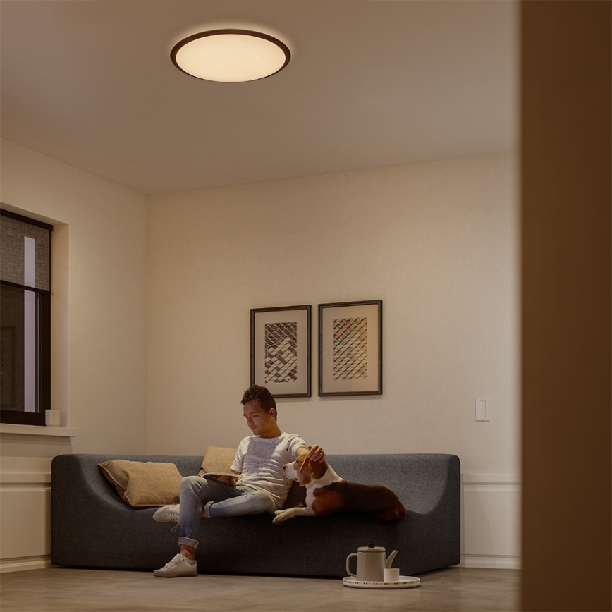 Philips 32809/31/P3 - Plafoniera LED dimmerabile CANAVAL LED/18W/230V