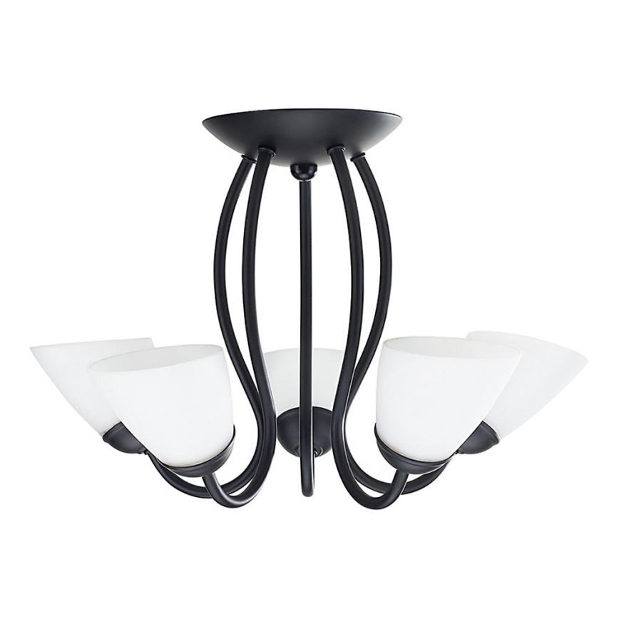 Philips 37035/43/E7 - Lampadario HERALD 5xE14/40W/230V