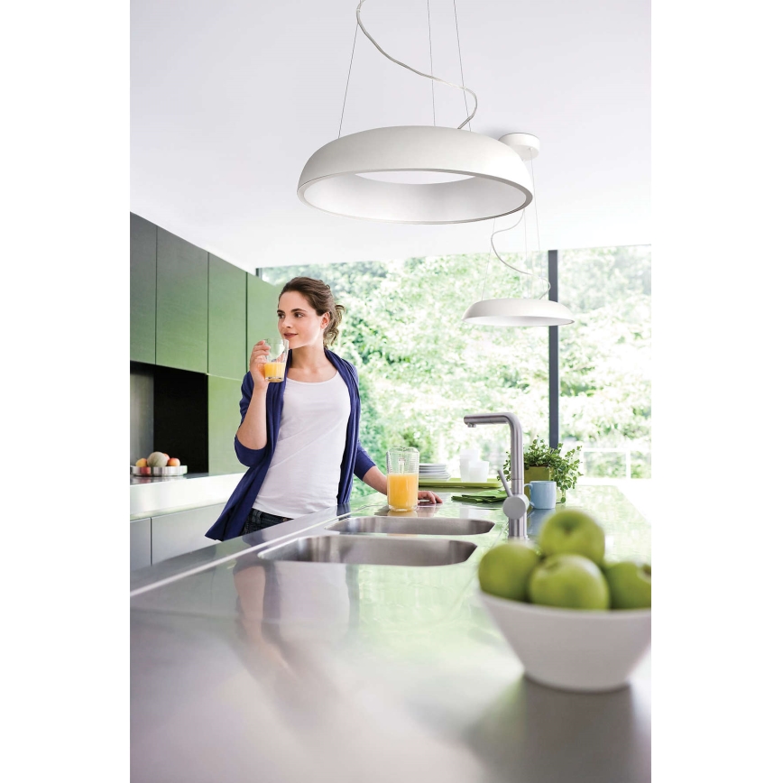 Philips 40233/48/16 - Lampada a sospensione MYLIVING AMAZE 1x2GX13/60W/230V