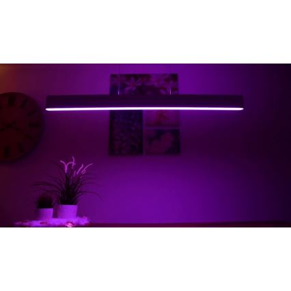 Philips – Lampadario LED on a String Hue ENSIS White And Colour Ambiance 2×LED/39W/230V