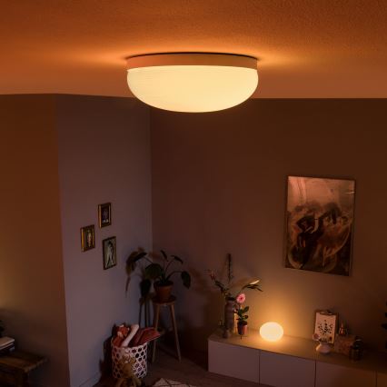 Philips 40905/31/P9 - Plafoniera LED HUE FLOURISH LED/32W/230V