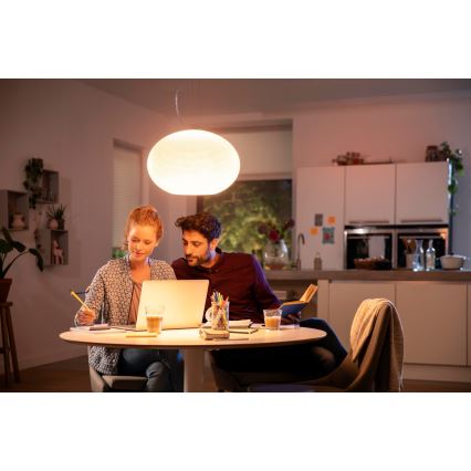 Philips - LED RGBW Lampadario dimmerabile a sospensione con filo Hue FLOURISH LED/39W/230V