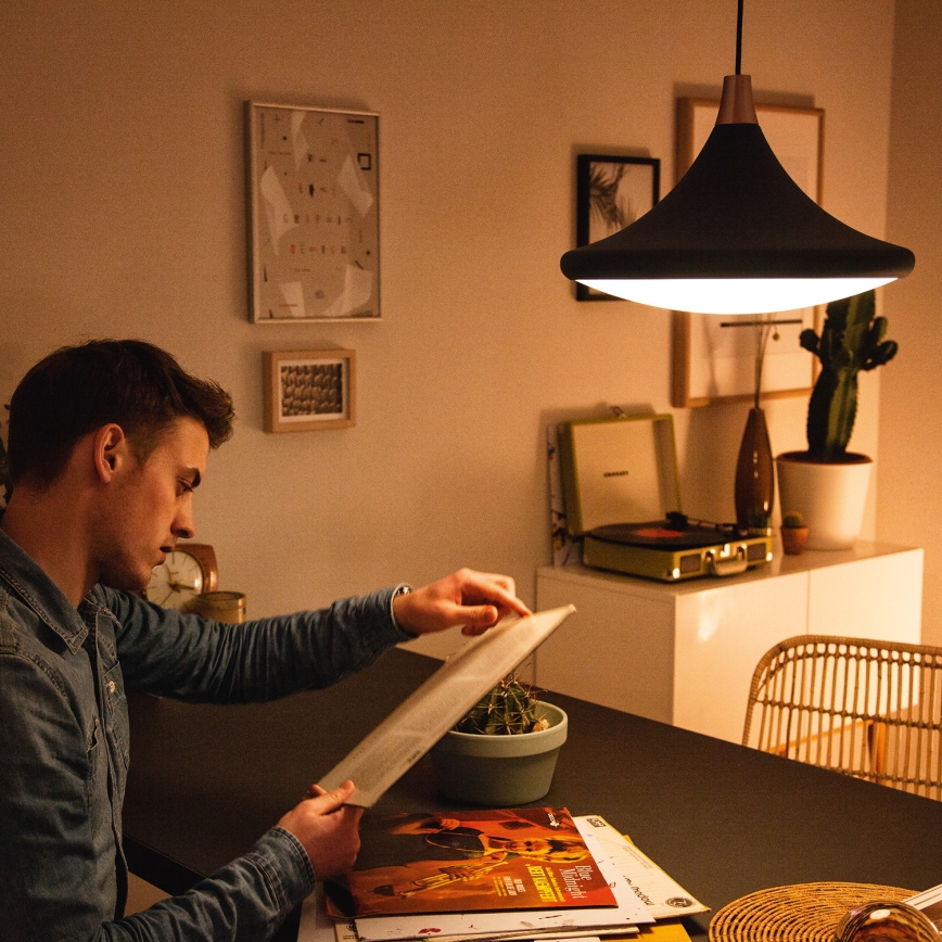 Philips - Lampadario 1xE27/60W/230V