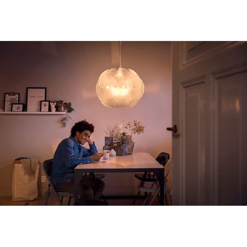 Philips - Lampada a sospensione 1xE27/60W/230V