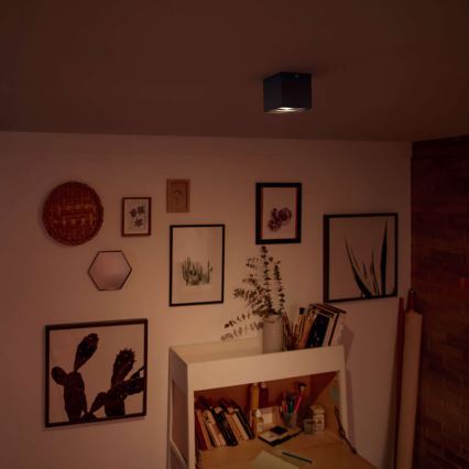 Philips - Faretto LED dimmerabile LED/4,5W/230V