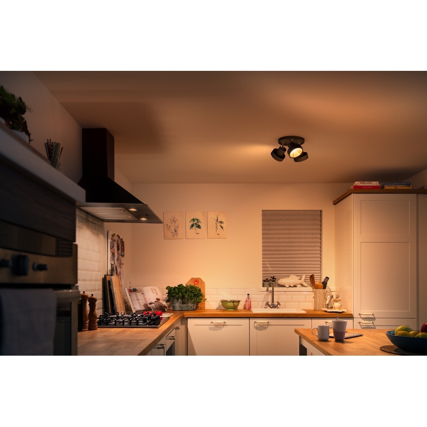 Philips 50603/30/P0 - Faretto LED dimmerabile BUKKO 3xLED/4,3W/230V