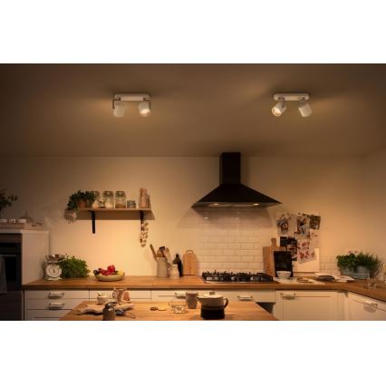 Philips - Luce Spot a LED dimmerabile 2xLED/4.5W/230V
