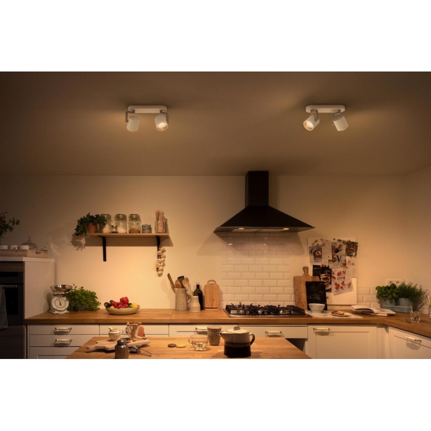 Philips - Luce Spot a LED dimmerabile 2xLED/4.5W/230V