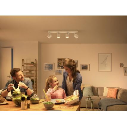 Philips - Luce Spot a LED dimmerabile 4xLED/4.5W/230V