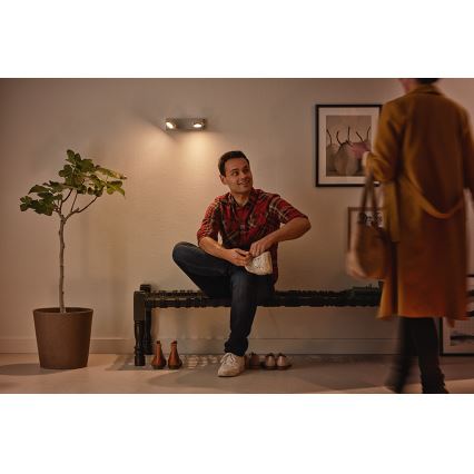 Philips 53192/48/P0 - Luce Spot a LED MILLENNIUM 2xLED/4,5W/230V