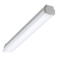 Philips - Apparecchio fluorescente tecnico a LED LEDINAIRE LED/15W/230V 60 cm IP66