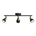 Philips - Faretto CONDUIT 3xGU10/5W/230V nero/ottone