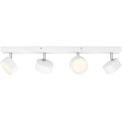 Philips - Faretto LED 4xLED/5,5W/230V bianco