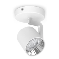 Philips - Faretto LED dimmerabile LED/4.5W/230V