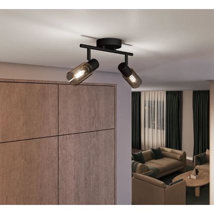 Philips - Faretto PALMS 2xE14/25W/230V