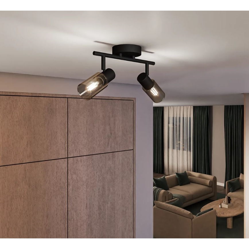 Philips - Faretto PALMS 2xE14/25W/230V