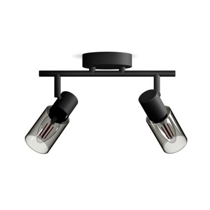 Philips - Faretto PALMS 2xE14/25W/230V