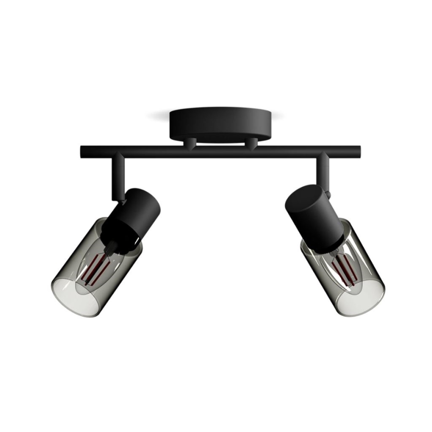 Philips - Faretto PALMS 2xE14/25W/230V