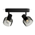 Philips - Faretto SLEET 2xE14/25W/230V