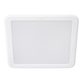Philips - Lampada da incasso a LED MESON/13W/230V 4000K 14x14 cm