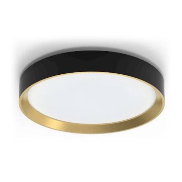 Philips - Lampada da soffitto dimmerabile a LED HANNO LED/24W/230V 2700K nero