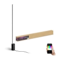 Philips - Lampada da terra dimmerabile LED RGBW Hue SIGNE LED/29W/230V 2000-6500K nero