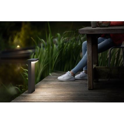 Philips - Lampada LED da esterno BUSTAN LED/3,8W/230V 2700K 40 cm IP44