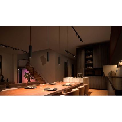 Philips - Lampada a sospensione dimmerabile LED RGB con cavo per sistema a binario Hue PERIFO LED RGB/5,2W/24V 2000-6500K