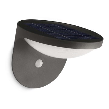 Philips - Lampada LED solare con sensore per esterno 1xLED/1W/3,7V
