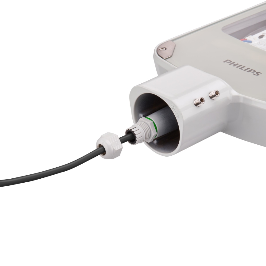 Philips - Lampione stradale a LED CORELINE MALAGA LED/25W/230V 4000K IP65