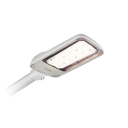 Philips - Lampione stradale LED CORELINE MALAGA LED/37W/230V 3000K IP65