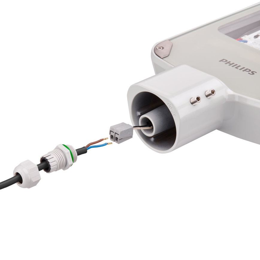 Philips - Lampione stradale LED CORELINE MALAGA LED/46,5W/230V 3000K IP65