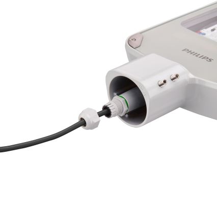 Philips - Lampione stradale LED CORELINE MALAGA LED/46,5W/230V 3000K IP65