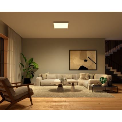 Philips - LED RGB Pannello dimmerabile Hue White And Color Ambiance LED/60W/230V 2000-6500K