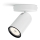 Philips - Luce Spot 1xGU10/5,5W/230V