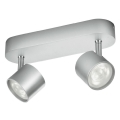 Philips - Luce Spot a LED dimmerabile 2xLED/4,5W/230V
