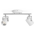 Philips - Luce Spot a LED dimmerabile 2xLED/4.5W/230V