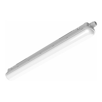 Philips Pila - Corpo illuminante tecnico a LED, 40W/230V, 120 cm, IP65