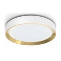 Philips - Plafoniera LED dimmerabile HANNO LED/24W/230V 2700K bianco